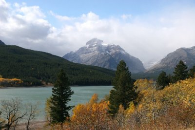 IMG_0966
