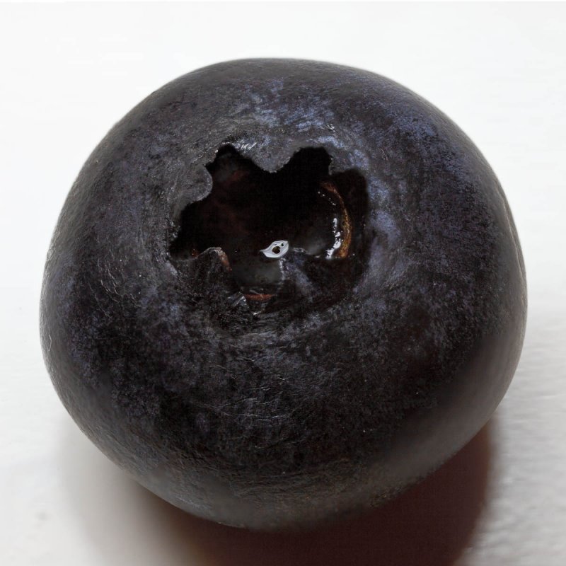 Blueberry