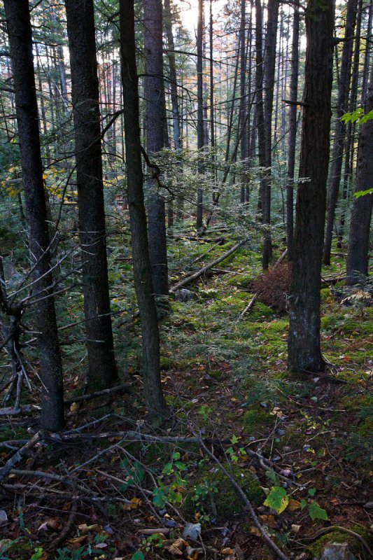 Winhall, Vermont
