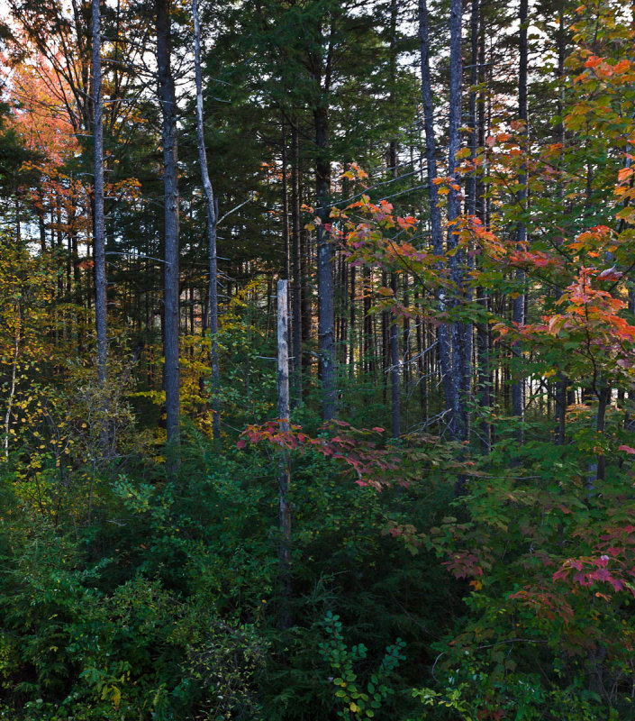 Winhall, Vermont