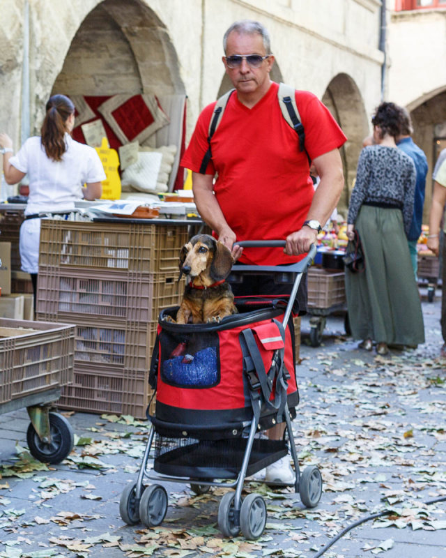 Uzs market