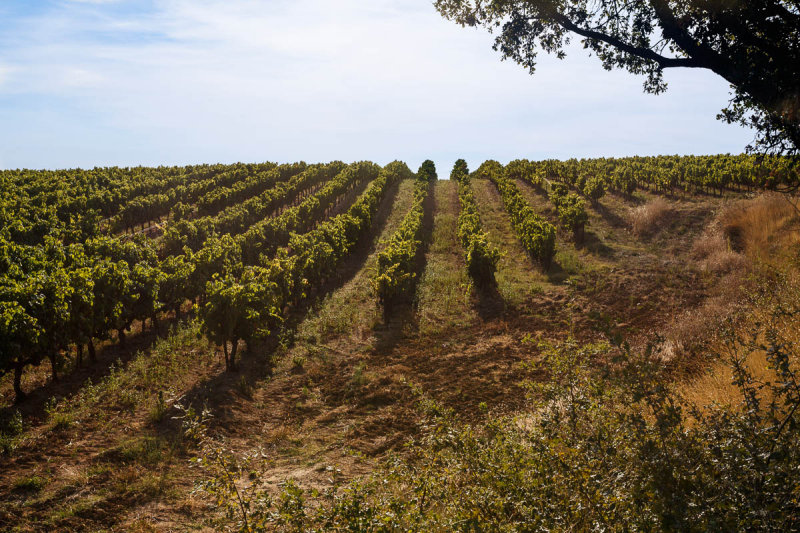 Vinsobres
