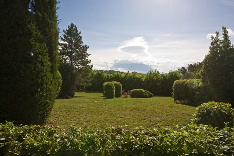 Garden adjacent to pool