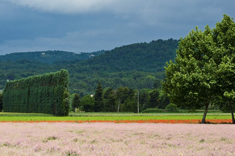 Near LIsle-sur-la-Sorgue