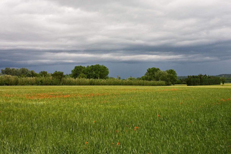Near LIsle-sur-la-Sorgue