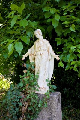 Garden adjacent to pool