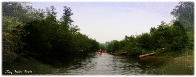 IMG_5866 copy.jpg