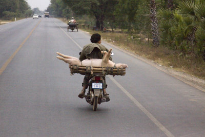 Cambodia