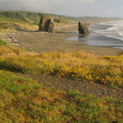 StormyBeachLight