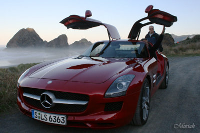 Mercedes-Benz Gull-Wing