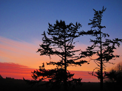 sunset-couple