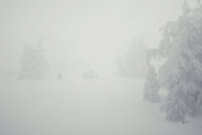 DSC_0842.jpg