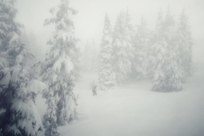 DSC_0860.jpg
