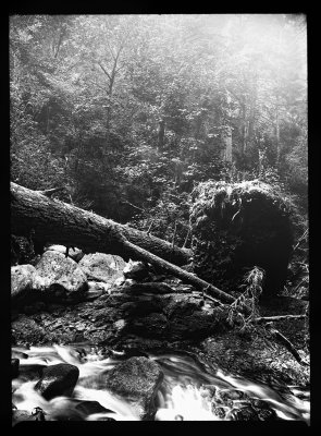 Untitled-9