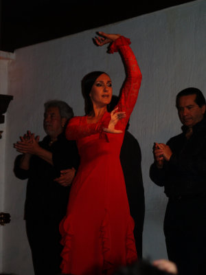 Flaminco Dancer