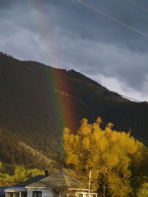 Montana/ Yellowstone Park 2010