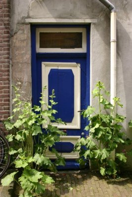 Door, just off Linnaeushof