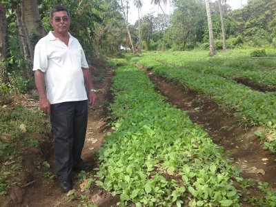 Tobacco plantation and owner