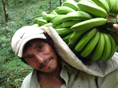 Banana farmer, Miraflor