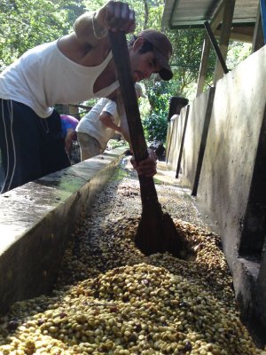 Processing coffee, Miraflor, Nicaragua