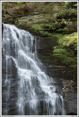 2009103017 copy pbase.jpg
