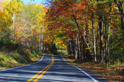 Pennsylvania - A road I can travel forever, Fall Colors