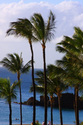 Black Rock jutting into the Pacific, Maui, Hawaii, USA
