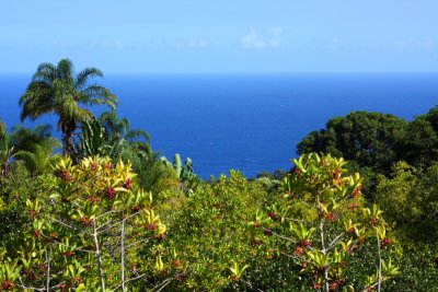 View of the Pacific from the Garden of Eden, Hana Hwy, Maui, Hawaii, USA