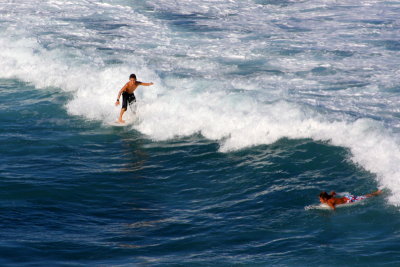 Watch him ride that wave, Ho'okipa, Maui, Hawaii, USA