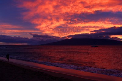 The ocean simmers in evening glow, Sunset, Maui, Hawaii, USA