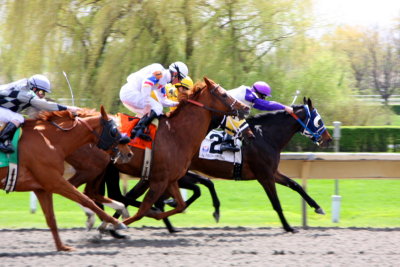 Winning by just a head, Arlington Park Race Track