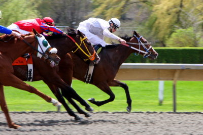 In the lead, Arlington Park Race Track