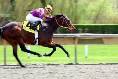 A split second later, Arlington Park Race Track