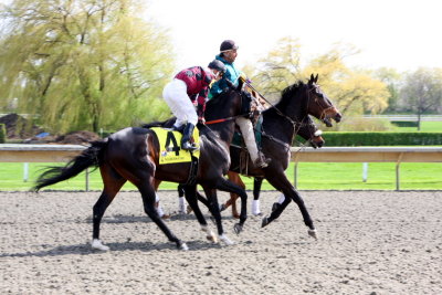 Jockey, horse and trainer, Arlington Park Race Track