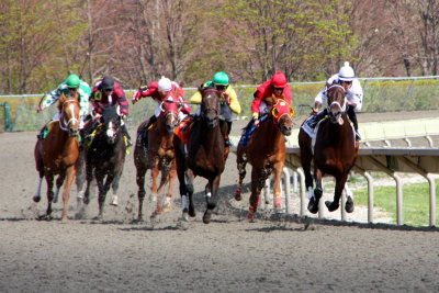 Digging up the dirt, Arlington Park Race Track