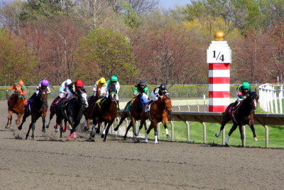 1/4 mile to go, will anyone catch up, Arlington Park Race Track