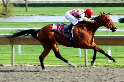 Winning the race easily, Arlington Park Race Track