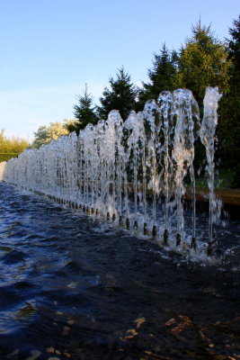 Water in its most jumpy form, Chicago Botanical Garden