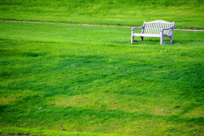 A lonely bench - an inspired shot, Chicago Botanical Garden