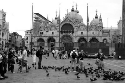 St. Mark's Square, with the basilica and the pigeons - Venice, Italy
