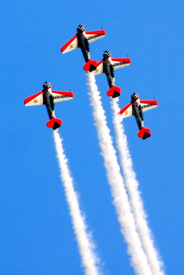 Chicago Air and Water Show 2009 - AeroShell Aerobatic Team - the fly off into the sky trick