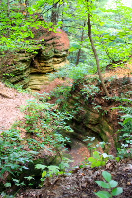 Canyon winds below us, Starved Rock State Park, IL