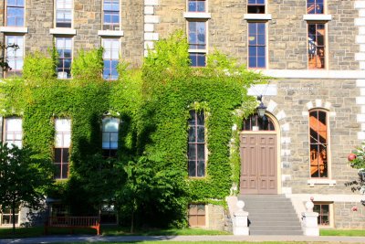 Ivy League, Cornell University, NY