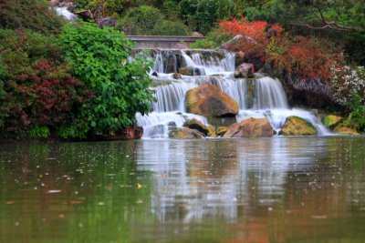 Waterfalls from the Japanese Garden, Chicago Botanical Garden