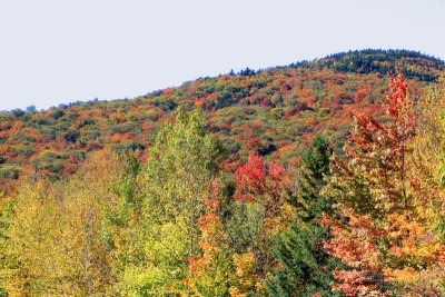New Hampshire - Fall is peak season, White Mountain National Forest, NH