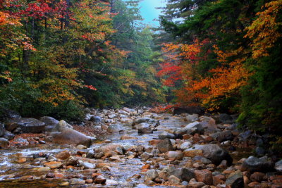 Kancamagus Highway - fall foliage, White Mountains, NH