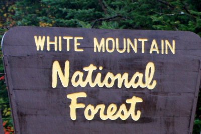 White Mountain National Forest, NH