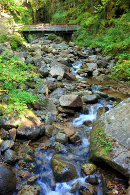 River winds in Franconia Notch State Park, NH