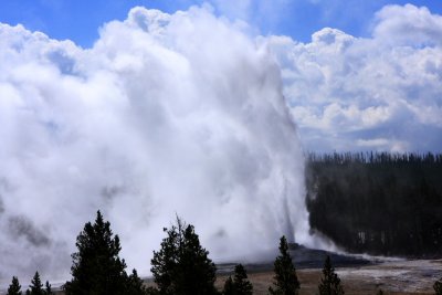 Old Faithful erupting - Yellowstone National Park
