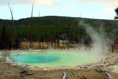 Cistern Spring, Norris Geyser Basin - Yellowstone National Park